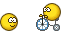 *ZADAVLU